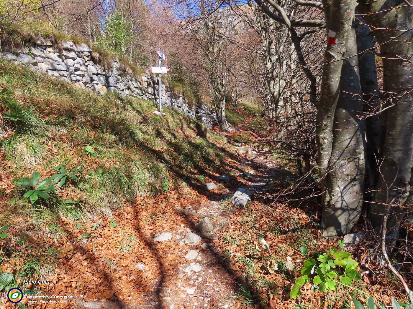 14 Poco sopra prendiamo il sentiero a sx per Passo dell'orso.JPG